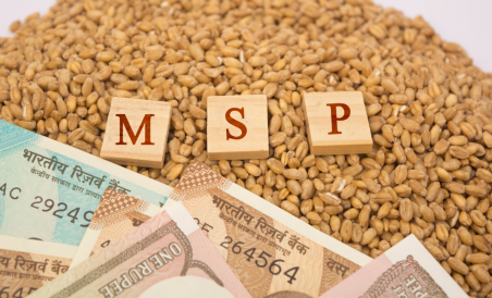 What is MSP – Check out all the details