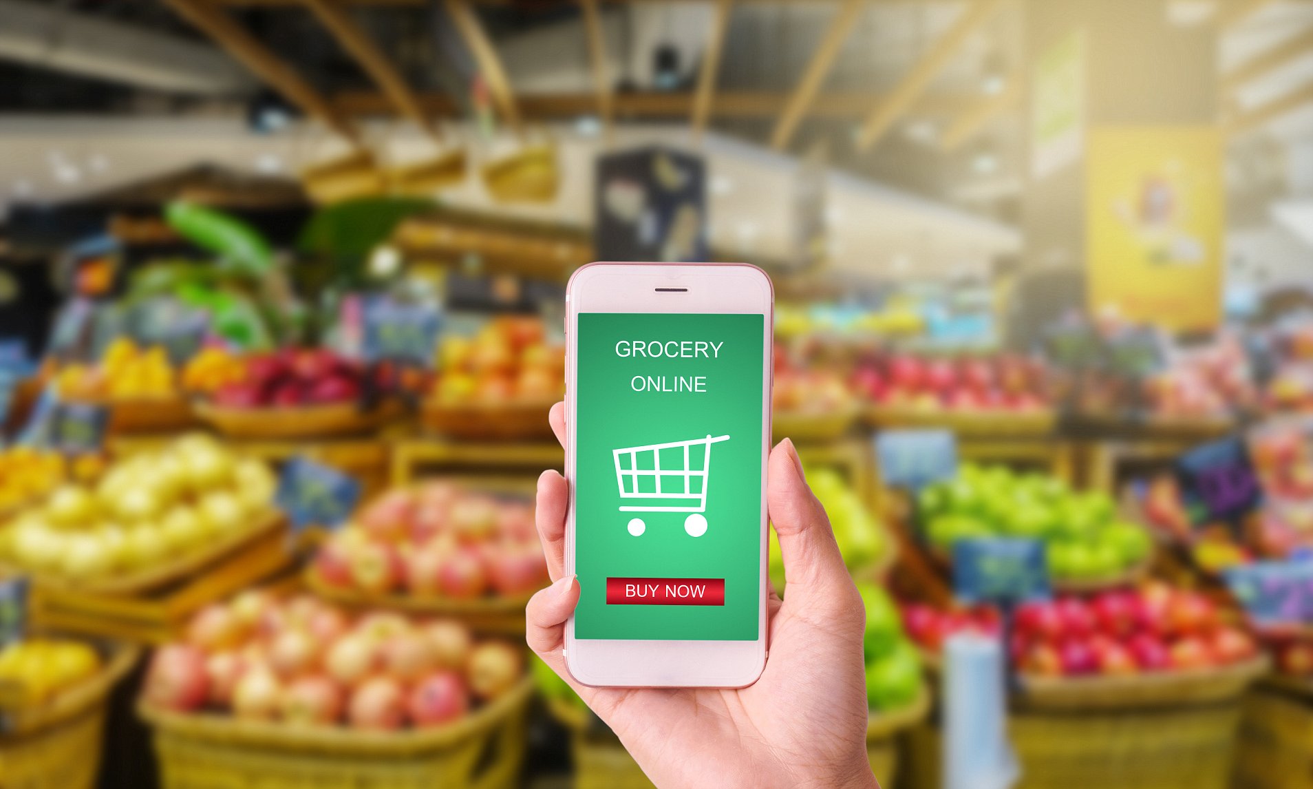 India’s online grocery market