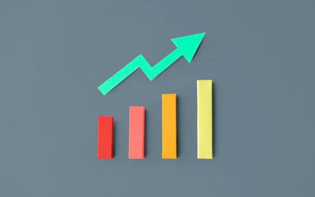 Fastest Growing Stocks: Top 10 Growth Stocks in India 2024